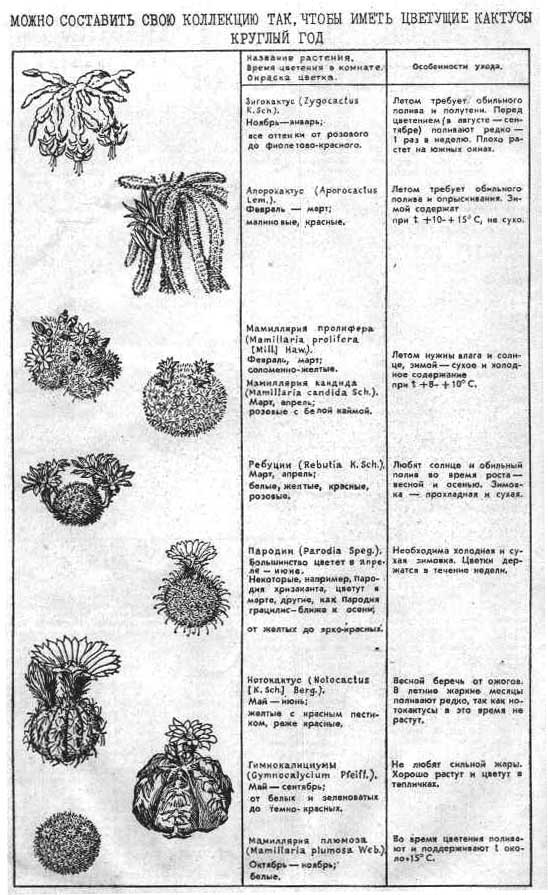 Третья страница статьи